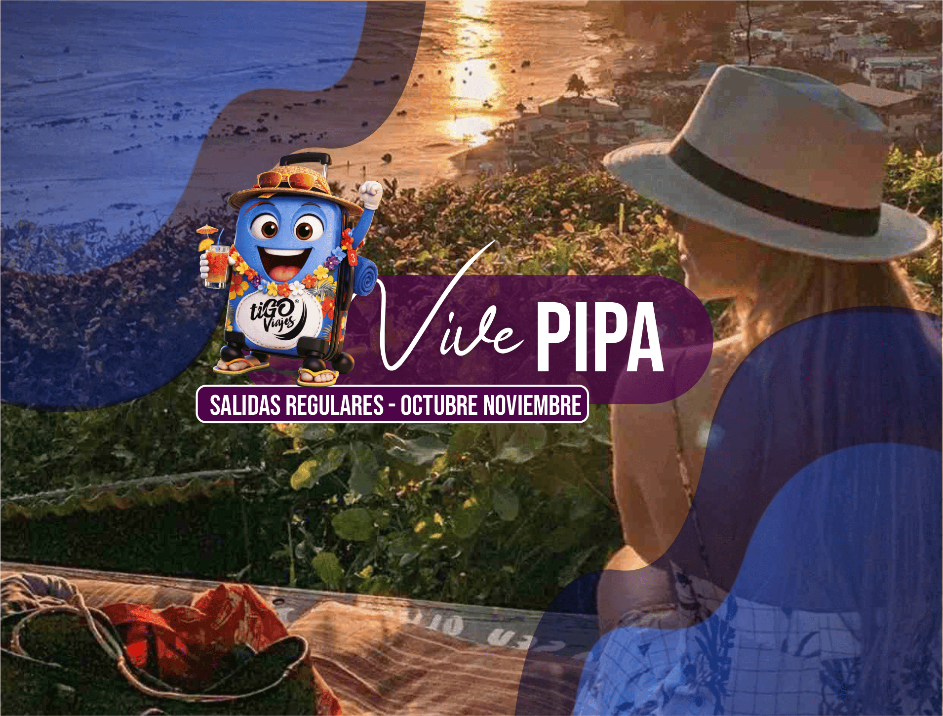 Vive Pipa
