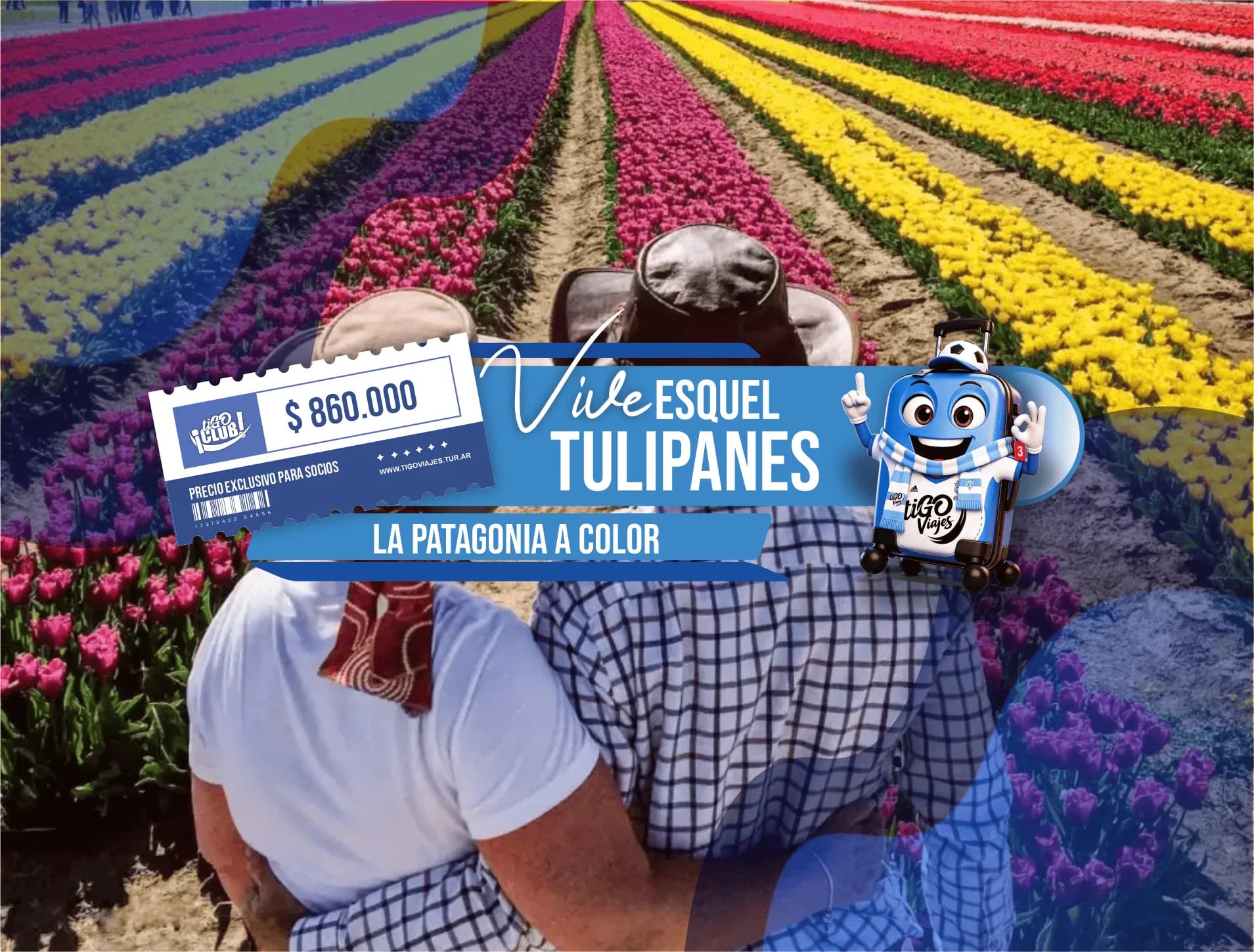 Esquel con Tulipanes